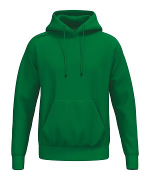 erima-ts-hoody-gruen-2072580-indoor_front.png