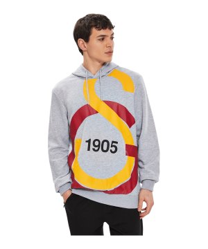 galatasaray-big-logo-sweatshirt-grau-f306-e88154-fan-shop_front.png