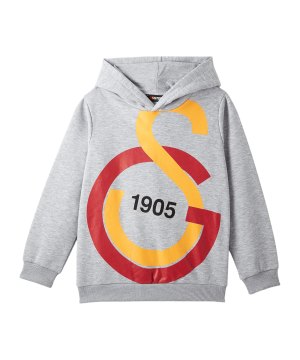 galatasaray-big-logo-sweatshirt-kids-grau-f306-c88154-fan-shop_front.png