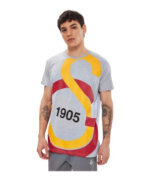 galatasaray-big-logo-t-shirt-grau-f306-e88153-fan-shop_front.png