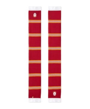 galatasaray-schal-rot-f101-u252337-equipment_front.png