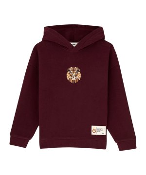 gsstore-x-reflect-studio-lion-hoody-kids-f100-c242400-fussballtextilien_front.png