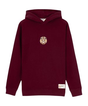 gsstore-x-reflect-studio-lion-hoody-rot-f100-e242400-fussballtextilien_front.png