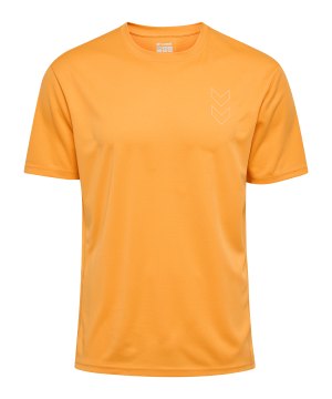hummel-active-pl-trikot-orange-f3237-224493-indoor_front.png