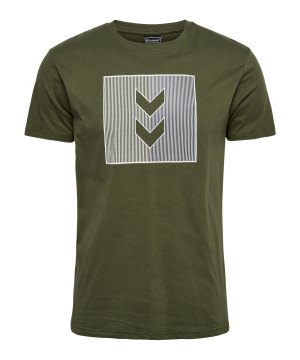 hummel-active-stripe-co-t-shirt-gruen-f6453-223166-indoor_front.png
