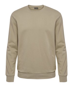 hummel-active-sweatshirt-braun-f8104-224501-indoor_front.png