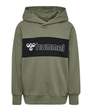 hummel-atlas-hoody-kids-gruen-f6002-226124-indoor_front.png
