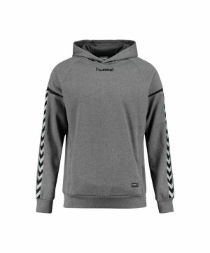 hummel-authentic-charge-kapuzensweatshirt-f2007-teamsport-mannschaft-sport-ausstattung-33403.png