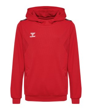 hummel-authentic-pl-hoody-kids-rot-f3062-219977-indoor_front.png