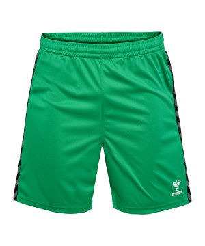 hummel-authentic-pl-short-gruen-f6235-219970-indoor_front.png