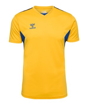 hummel-authentic-pl-trikot-gelb-f5167-219964-indoor_front.png