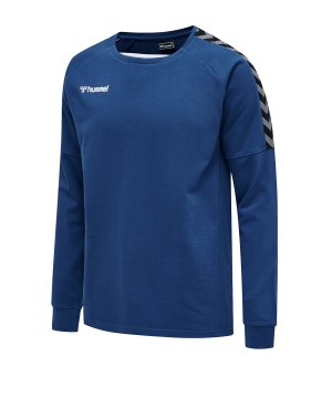hummel-authentic-training-sweatshirt-f7045-205373-teamsport.png