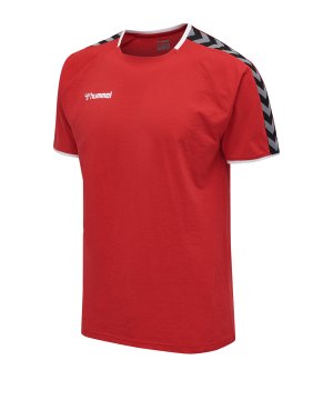 hummel-authentic-trainingsshirt-rot-f3062-205379-teamsport.png