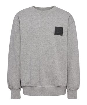 hummel-clean-sweatshirt-kids-grau-f2006-226261-lifestyle_front.png
