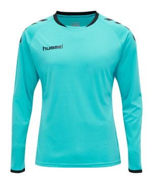 hummel-core-gk-torwarttrikotset-blau-f7905-205280-teamsport_front.png