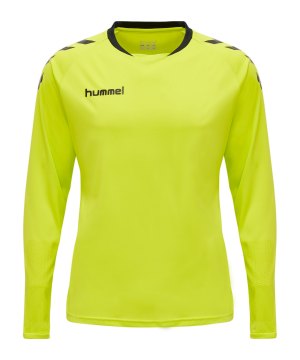 hummel-core-gk-torwarttrikotset-kids-gruen-f6102-205281-teamsport_front.png