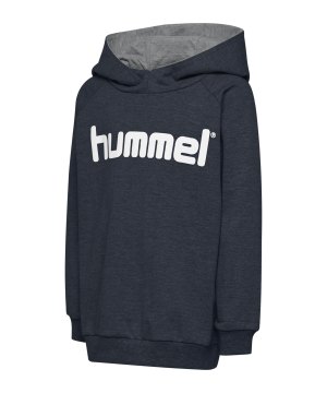 hummel-cotton-logo-hoody-kids-grau-f8571-203512-teamsport_front.png