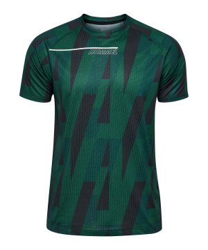hummel-court-aop-light-weight-t-shirt-gruen-f6614-226884-indoor_front.png