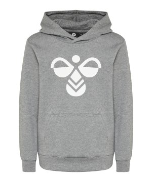 hummel-cuatro-hoody-kids-grau-f2800-213850-lifestyle_front.png