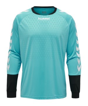 hummel-essential-torwarttrikot-tuerkis-f7905-004087-teamsport_front.png