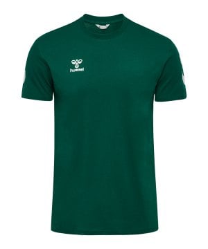 hummel-go-2-0-chevron-t-shirt-gruen-f6140-234568-indoor_front.png