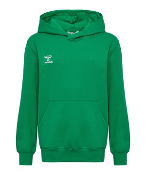 hummel-go-2-0-hoody-kids-gruen-f6235-224834-indoor_front.png