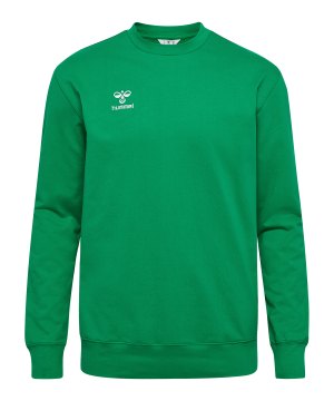 hummel-go-2-0-sweatshirt-gruen-f6235-224835-indoor_front.png