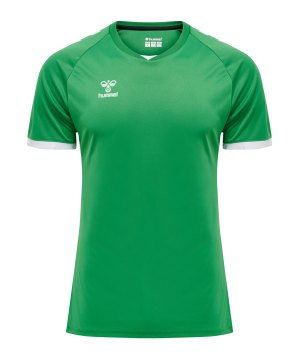 hummel-hmlcore-volley-t-shirt-gruen-f6235-213921-fussballtextilien_front.png