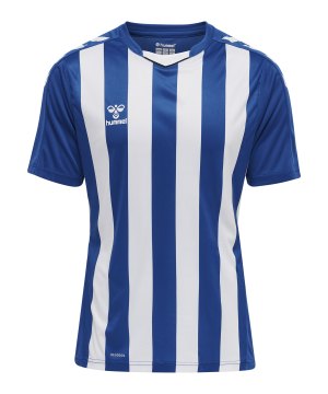 hummel-hmlcore-xk-striped-trikot-blau-weiss-f7691-211458-teamsport_front.png