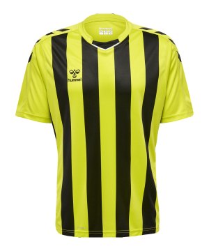hummel-hmlcore-xk-striped-trikot-gruen-f5047-211458-teamsport_front.png
