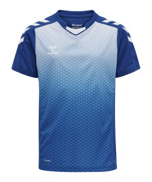 hummel-hmlcore-xk-sublima-trikot-kids-blau-f7045-215003-teamsport_front.png