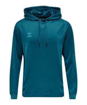 hummel-hmlcore-xk-sweat-hoody-blau-f7058-211482-teamsport_front.png