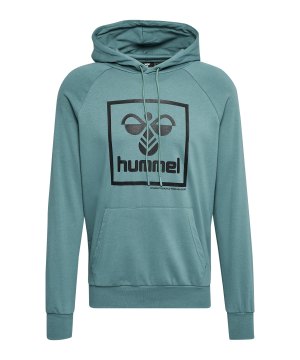 hummel-hmlisam-2-0-hoody-blau-f7406-214333-indoor_front.png