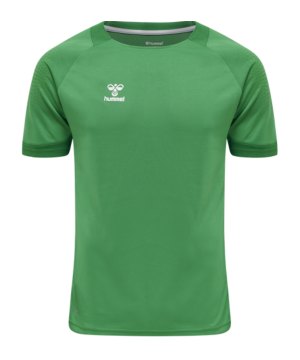 hummel-hmllead-trainingsshirt-gruen-f6235-207393-teamsport_front.png