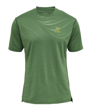 hummel-hmlongrid-t-shirt-gruen-f6347-216138-teamsport_front.png