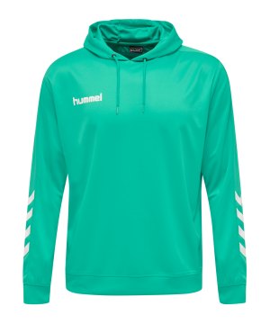 hummel-hmlpromo-poly-hoody-blau-f6507-208317-fussballtextilien_front.png