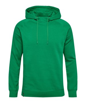 hummel-hmlred-classic-hoody-gruen-f6235-215095-lifestyle_front.png