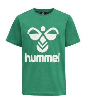 hummel-hmltres-t-shirt-kids-gruen-f6313-213851-teamsport_front.png