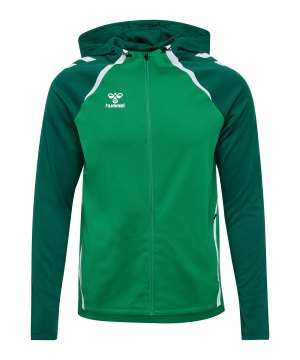 hummel-lead-2-0-kapuzenjacke-gruen-f6327-223759-indoor_front.png