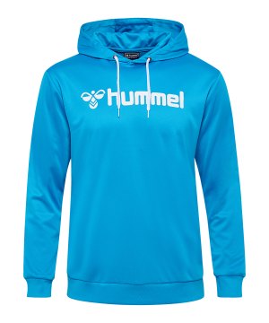 hummel-logo-hoody-blau-f7428-226165-indoor_front.png