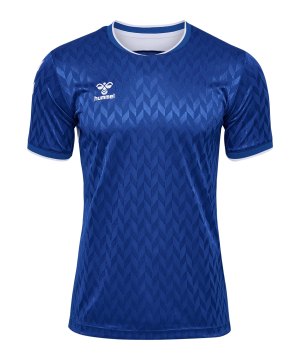 hummel-match-legend-trikot-blau-f7045-233159-indoor_front.png