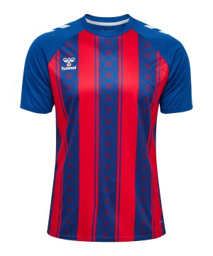 hummel-match-striped-trikot-blau-f7358-233155-indoor_front.png