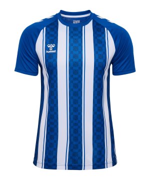 hummel-match-striped-trikot-blau-f7691-233155-indoor_front.png