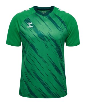 hummel-match-triumph-trikot-gruen-f6439-233157-indoor_front.png
