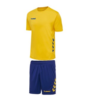 hummel-promo-duo-trikotset-kurzarm-gelb-blau-f5167-fussball-teamsport-textil-trikots-205872.png