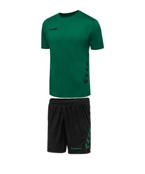 hummel-promo-duo-trikotset-kurzarm-kids-gruen-f6241-fussball-teamsport-textil-trikots-205873.png