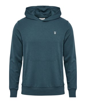 hummel-pulse-sweat-hoody-blau-f7280-229309-lifestyle_front.png