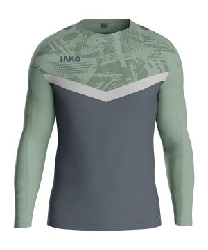 jako-iconic-sweatshirt-grau-f852-8824-teamsport_front.png