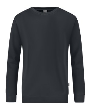jako-organic-sweatshirt-grau-f830-c8820-teamsport_front.png