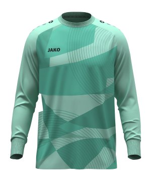 jako-river-torwarttrikot-gruen-f251-8946-teamsport_front.png